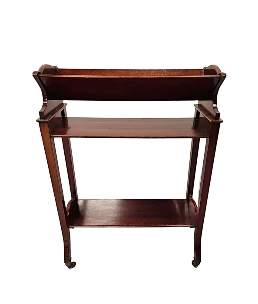  A Very Fine Edwardian Mahogany Book Trough