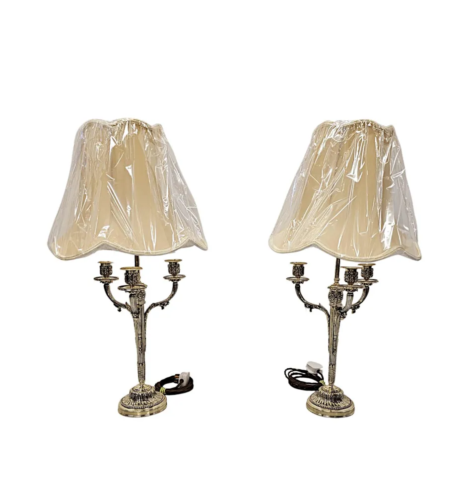 A Very Fine Pair of 19th Century Candelabra Converted to Table Lamps