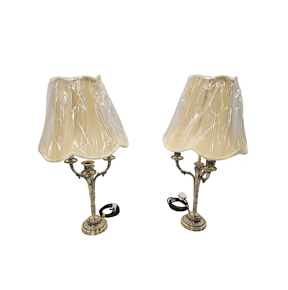 A Very Fine Pair of 19th Century Candelabra Converted to Table Lamps