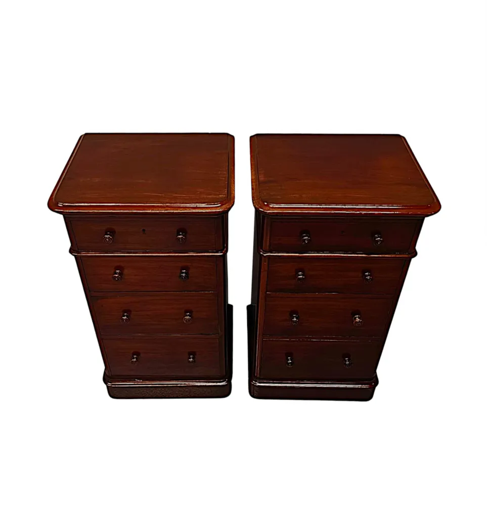A Fabulous Pair of 19th Century Bedside Chests