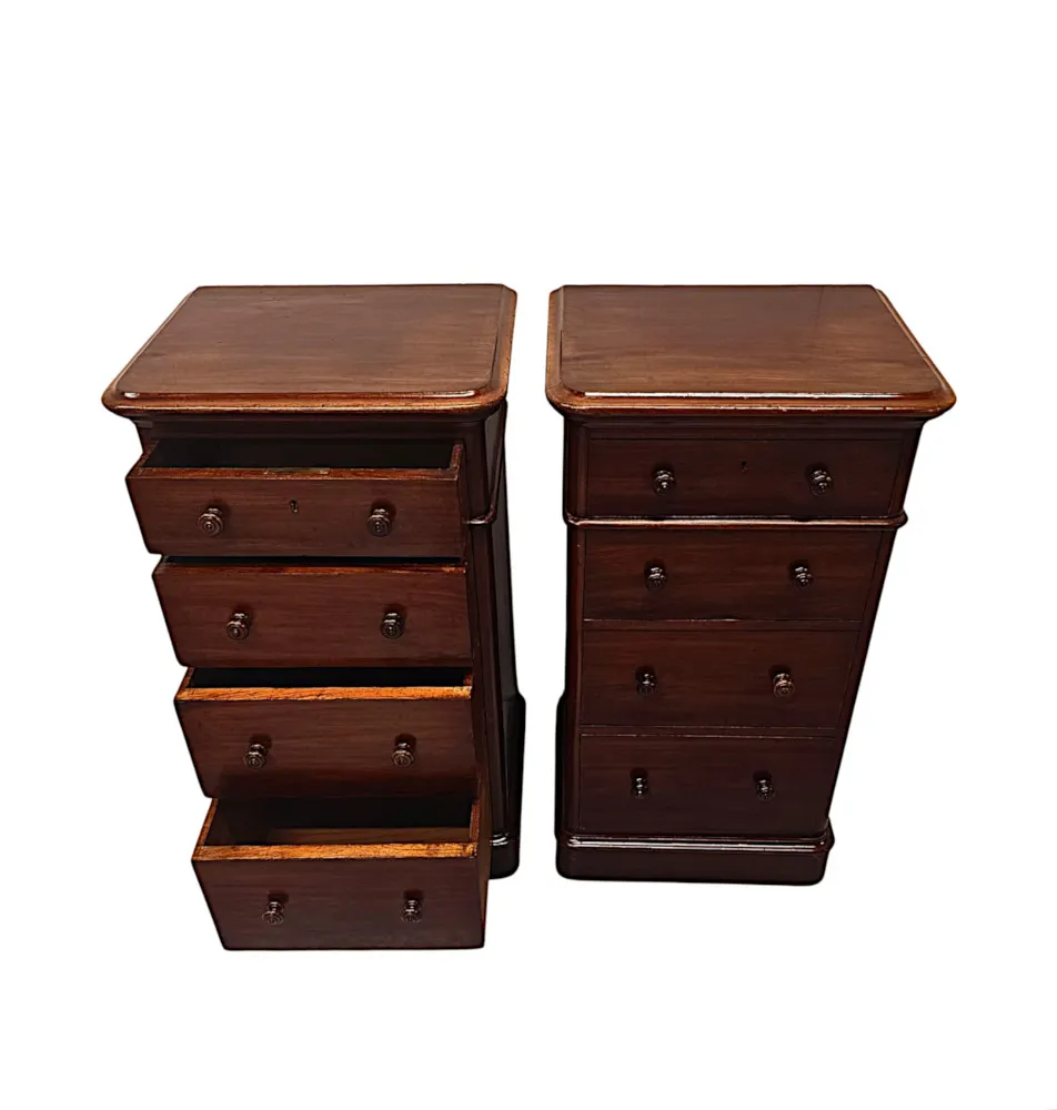 A Fabulous Pair of 19th Century Bedside Chests