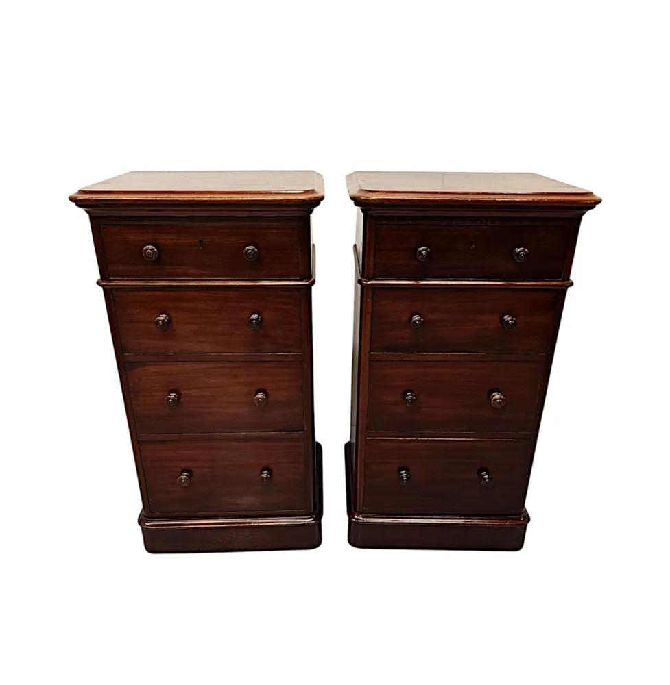 A Fabulous Pair of 19th Century Bedside Chests