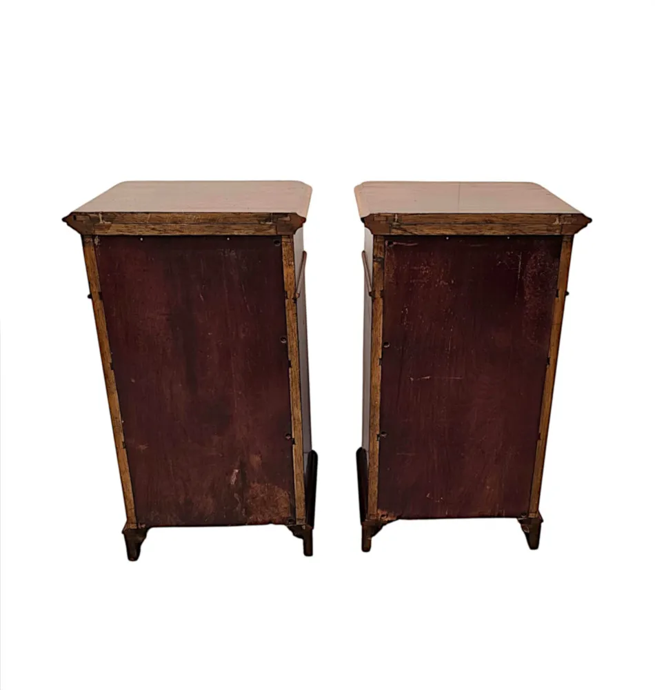 A Fabulous Pair of 19th Century Bedside Chests