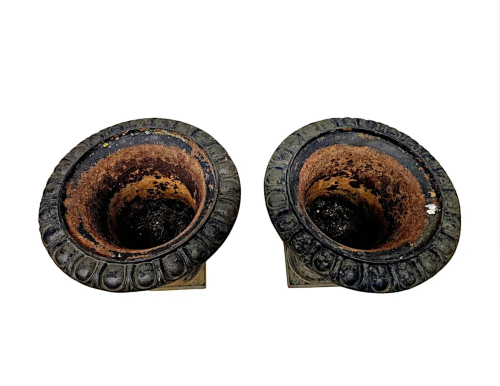  A Fabulous Pair of 19th Century Large Heavy Cast Iron Garden Urns