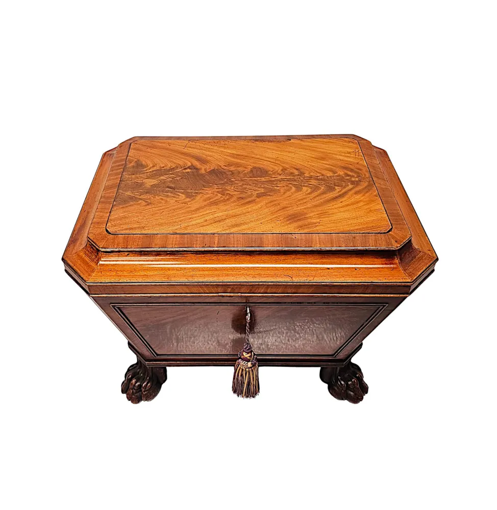 A Very Fine Early 19th Century Irish Sarcophagus Shaped Cellarette or Wine Cooler on Paw Foot