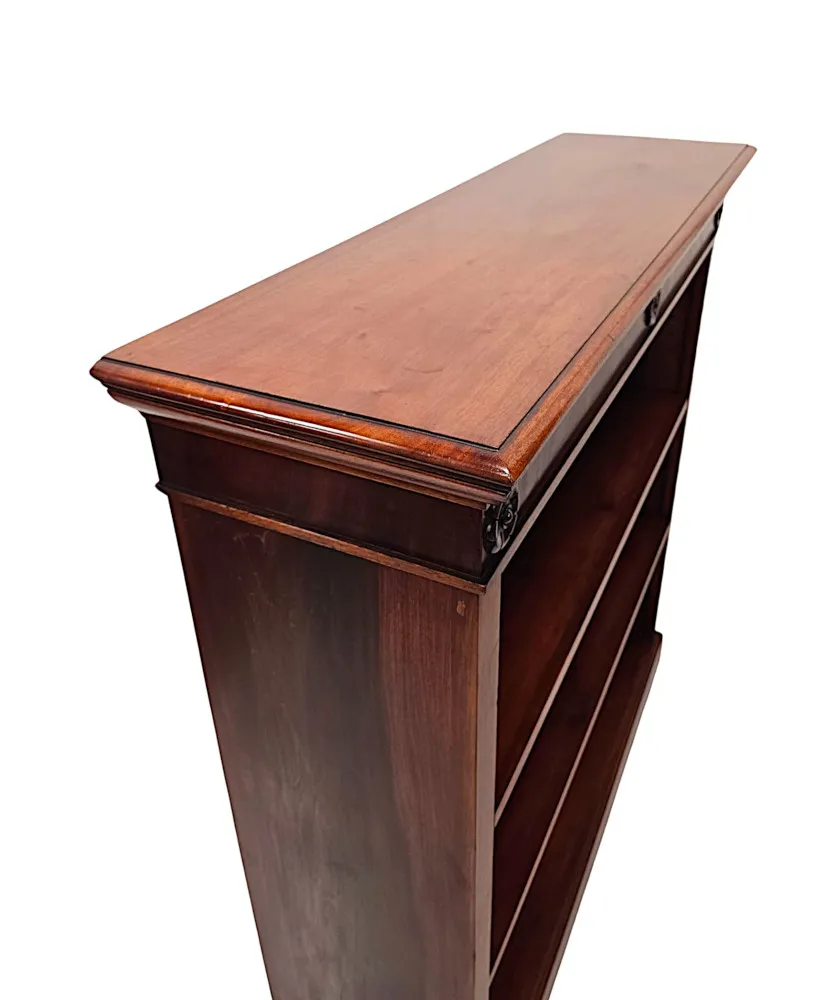A Fabulous 19th Century Open Floor Bookcase