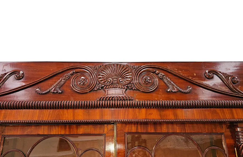 A Very Rare Early 19th Century Irish Flame Mahogany Bookcase