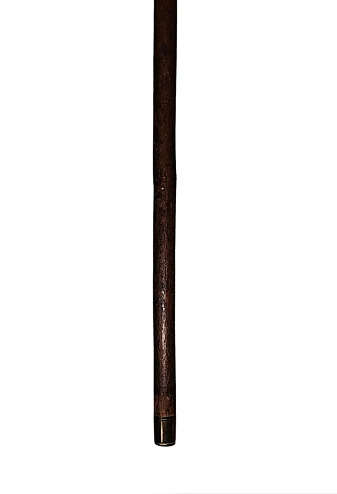 A Fabulous 19th Century Walking Stick with Makers Mark 'Brigg' Stamped on Silver Collar