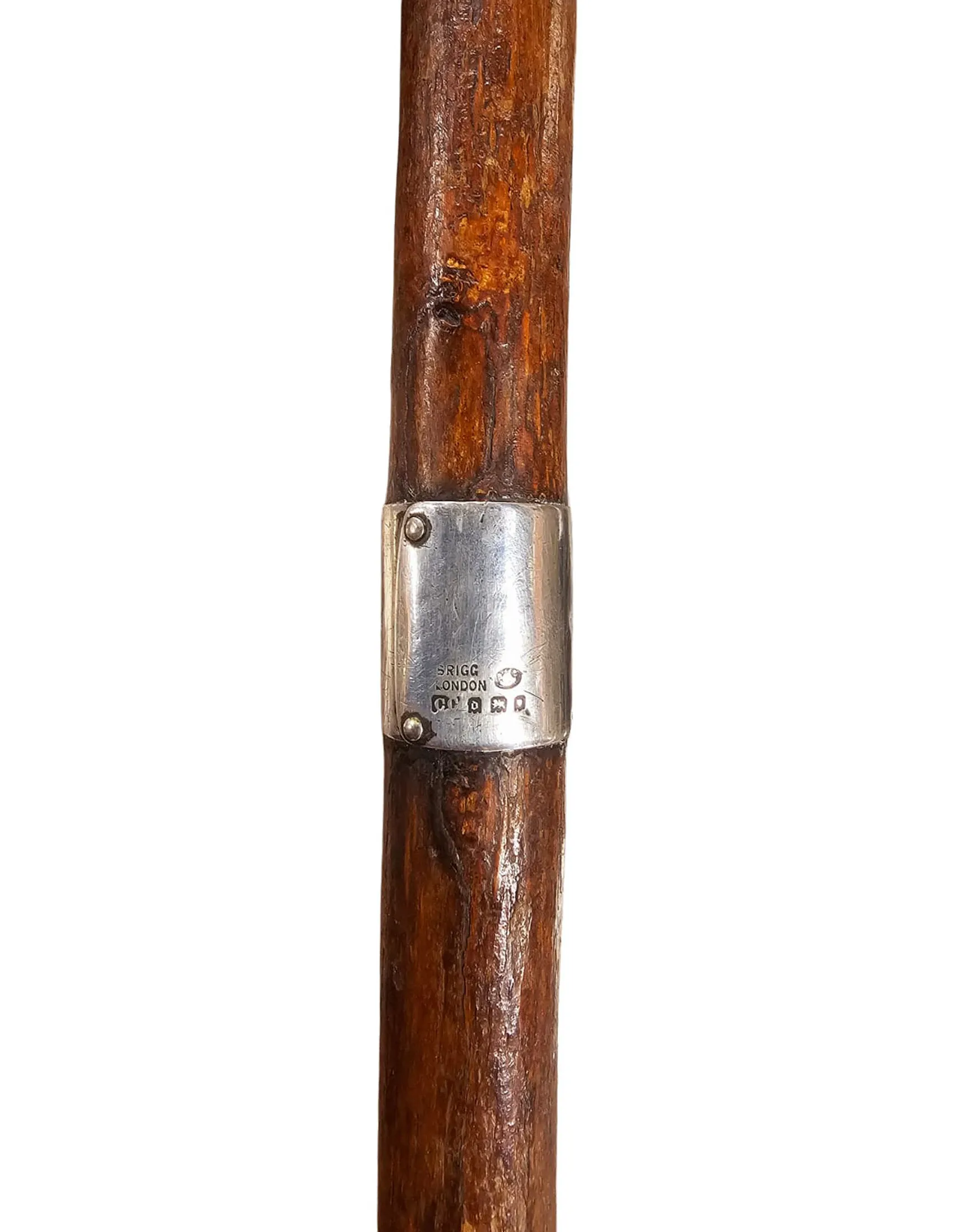 A Fabulous 19th Century Walking Stick with Makers Mark 'Brigg' Stamped on Silver Collar