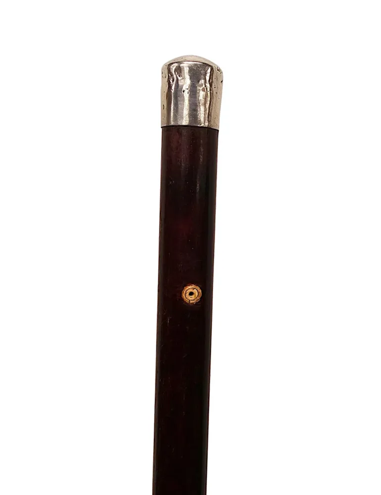 A Very Rare 19th Century Silver Topped 'Cathedral Peep' Walking Cane