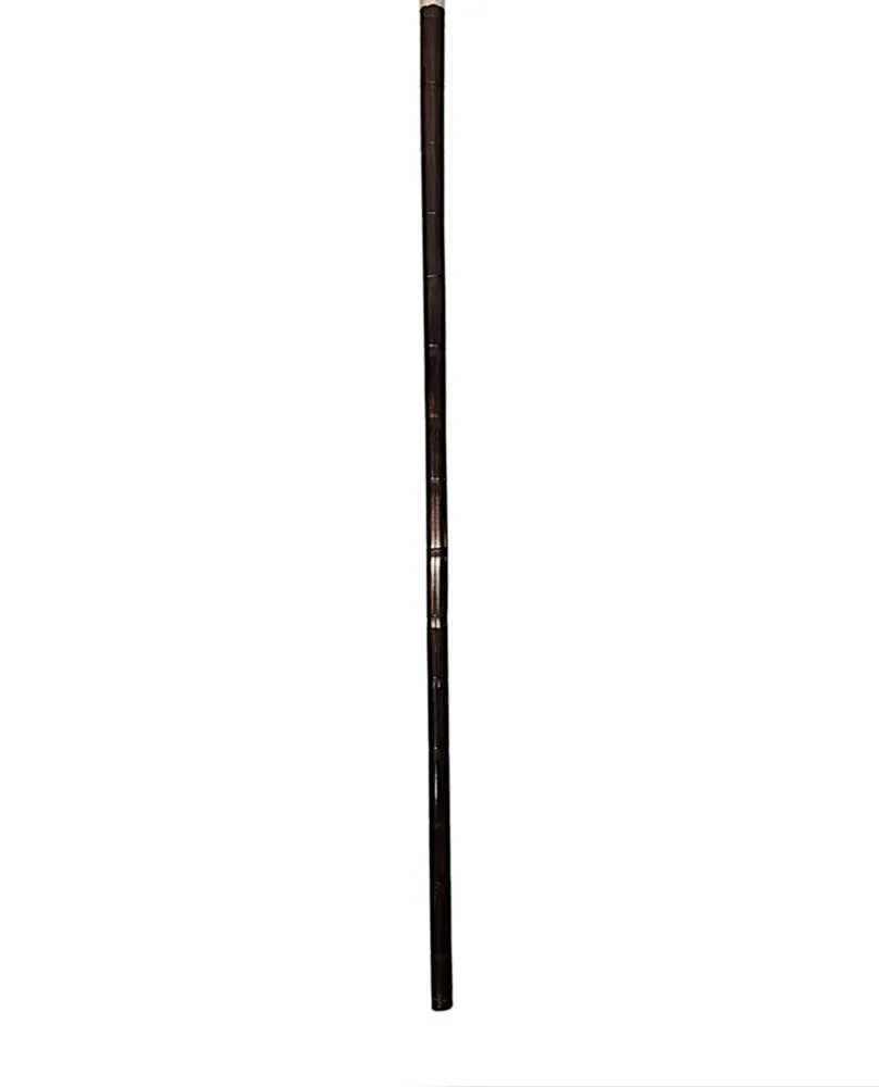 A Fabulous 19th Century Silver Mounted Gadget Walking Cane With Snuff Box Handle and Four Leaf Clover Motif