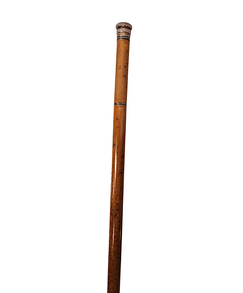 An Unusual 19th Century Gadget Walking Cane with Internal Glass Drinking Tube