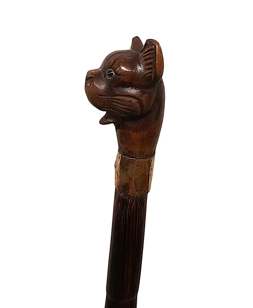 A Very Rare 19th Century Walking Cane with a Dogs Head Handle and Gold Mounted Collar