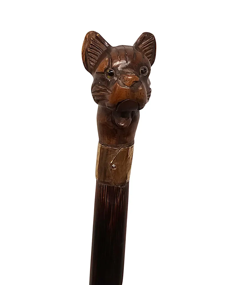 A Very Rare 19th Century Walking Cane with a Dogs Head Handle and Gold Mounted Collar