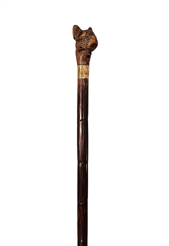 A Very Rare 19th Century Walking Cane with a Dogs Head Handle and Gold Mounted Collar