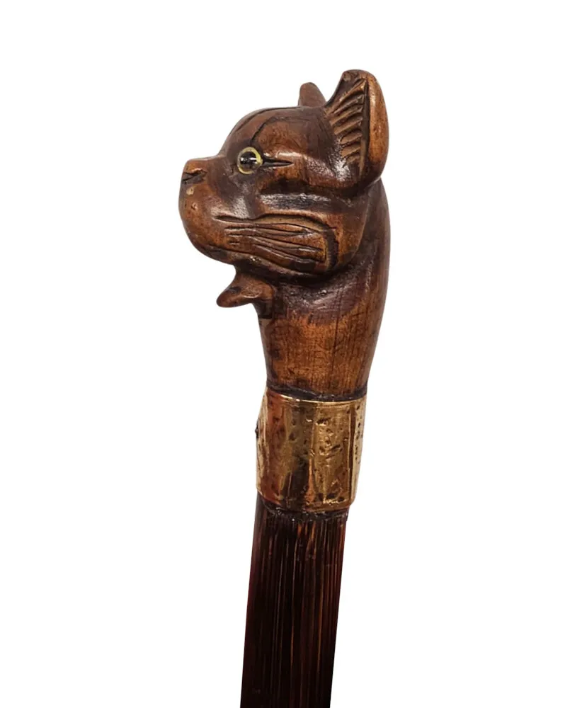 A Very Rare 19th Century Walking Cane with a Dogs Head Handle and Gold Mounted Collar