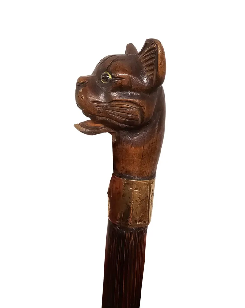 A Very Rare 19th Century Walking Cane with a Dogs Head Handle and Gold Mounted Collar