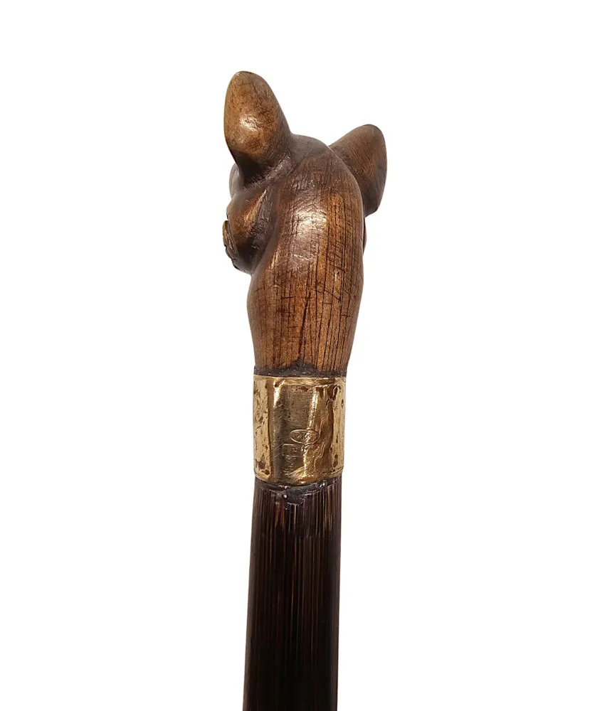 A Very Rare 19th Century Walking Cane with a Dogs Head Handle and Gold Mounted Collar