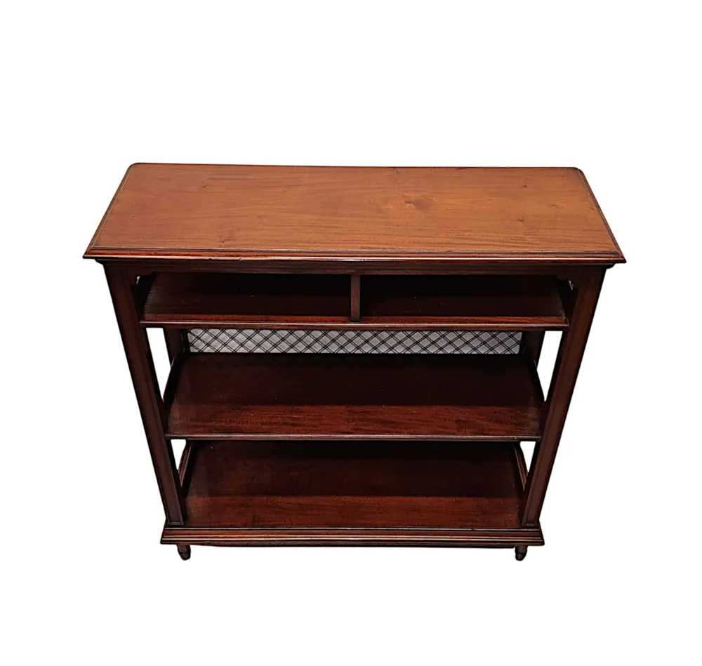 A Fabulous 19th Century Irish Open Bookcase