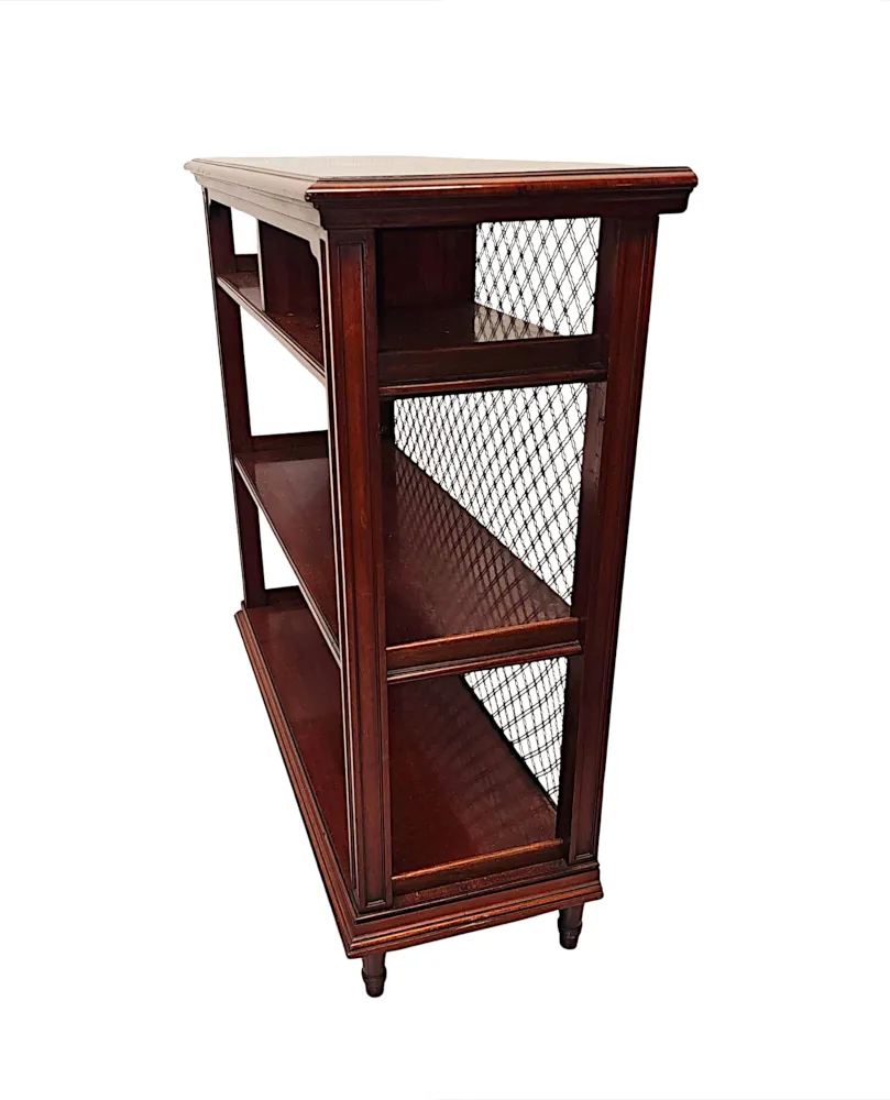 A Fabulous 19th Century Irish Open Bookcase