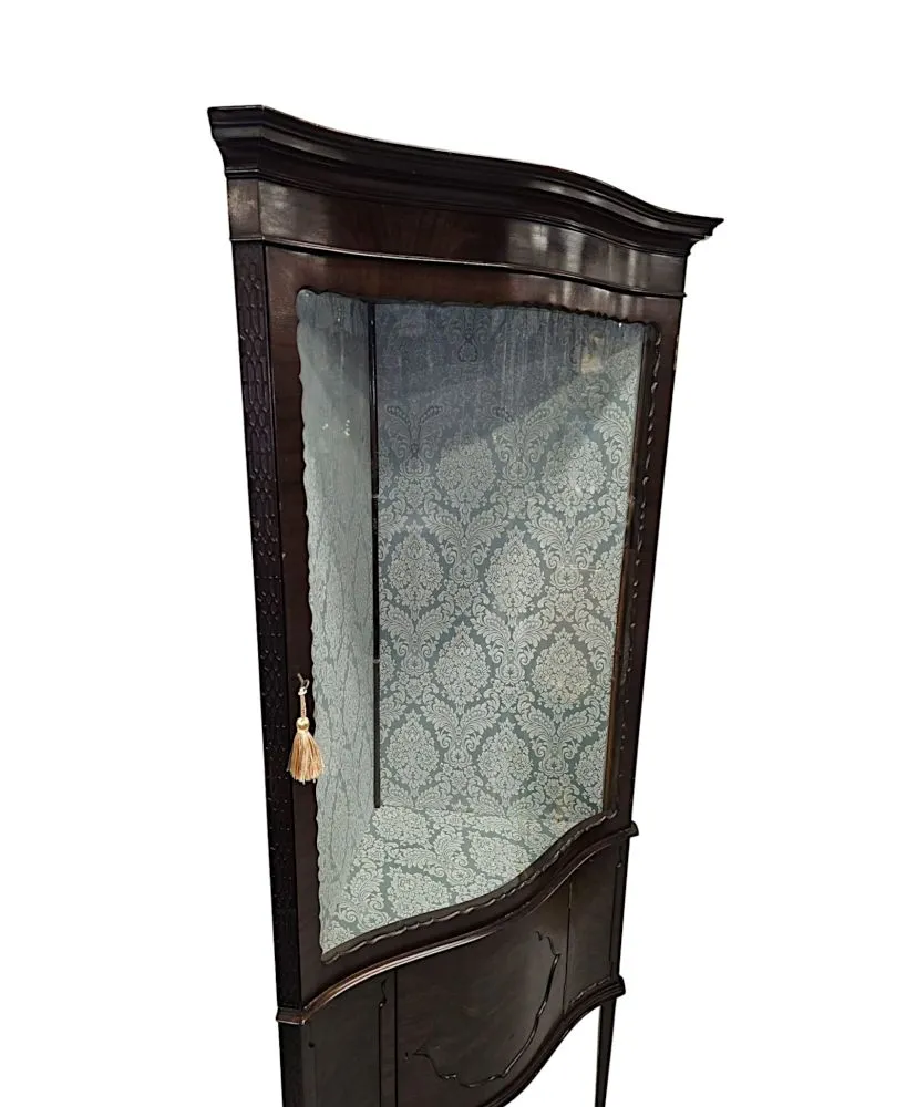 A Stunning Edwardian Chippendale Style Corner Cabinet
