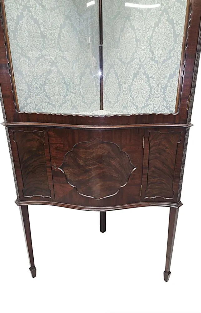 A Stunning Edwardian Chippendale Style Corner Cabinet