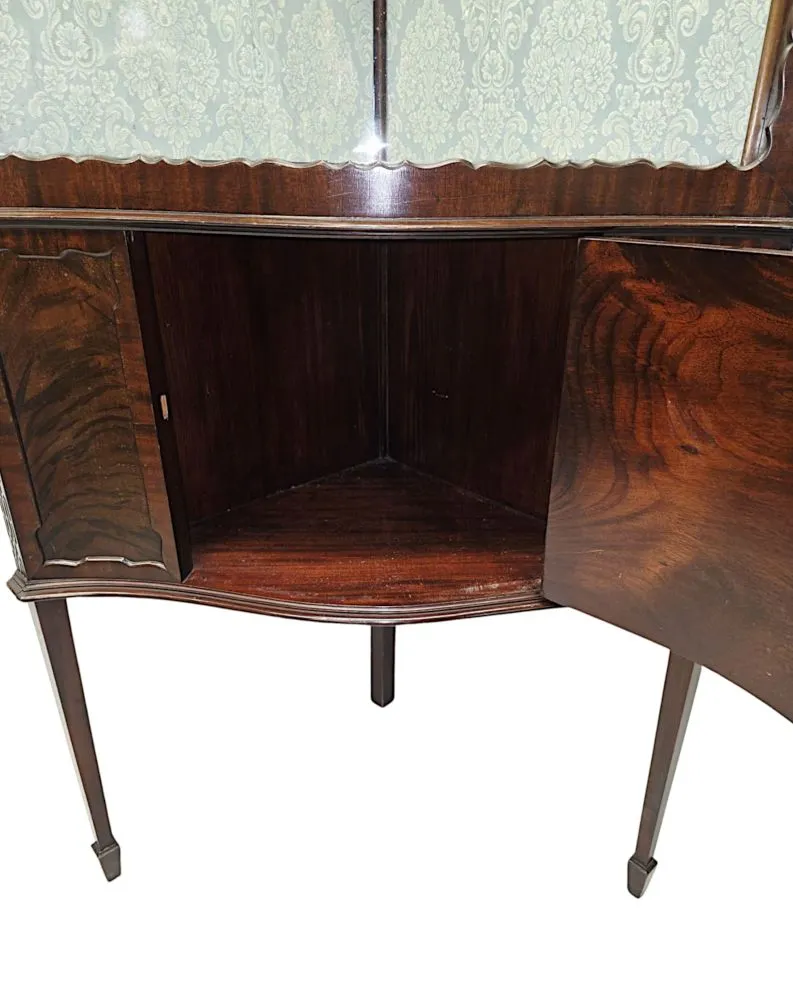 A Stunning Edwardian Chippendale Style Corner Cabinet