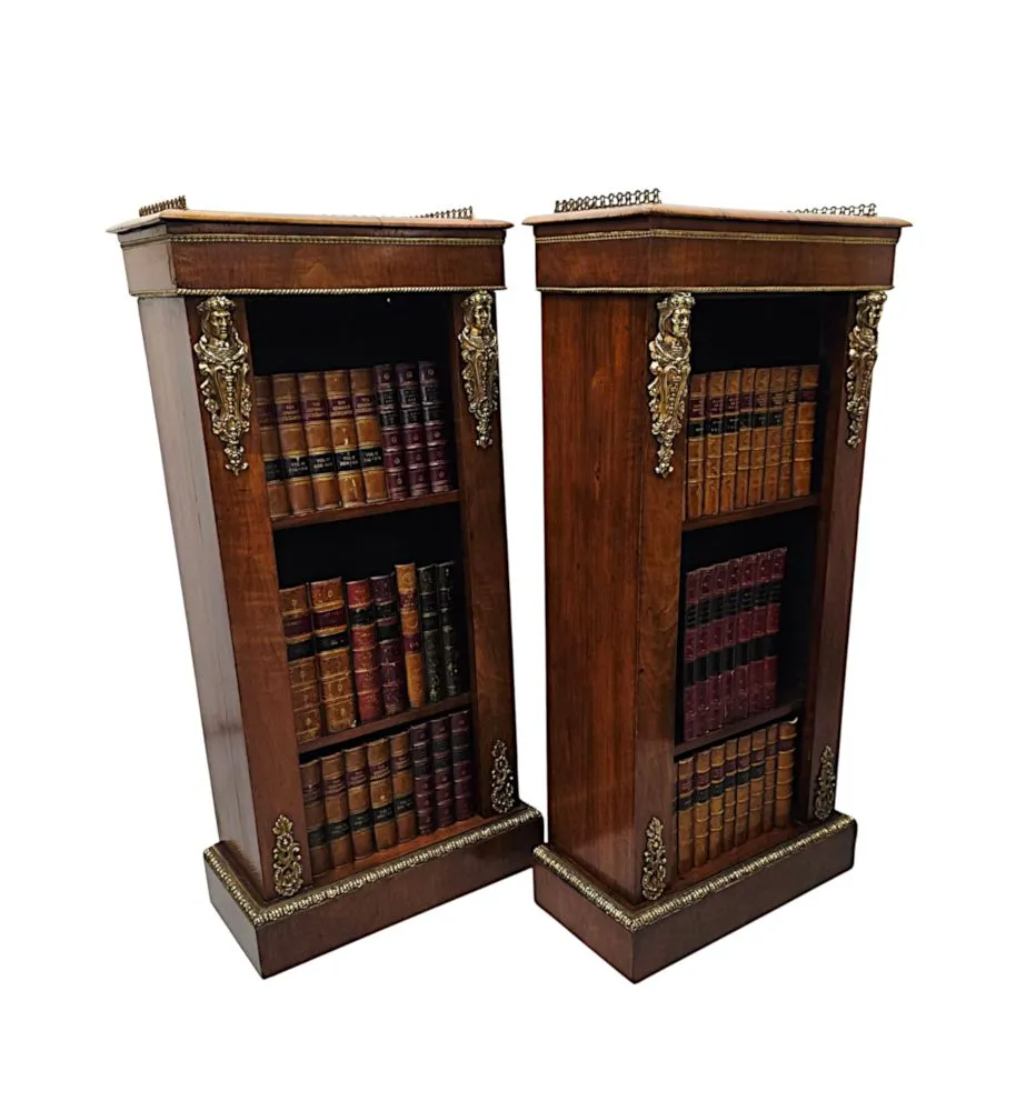 A Very Rare Pair of 19th Century Bookcases with Ormolu Mounts