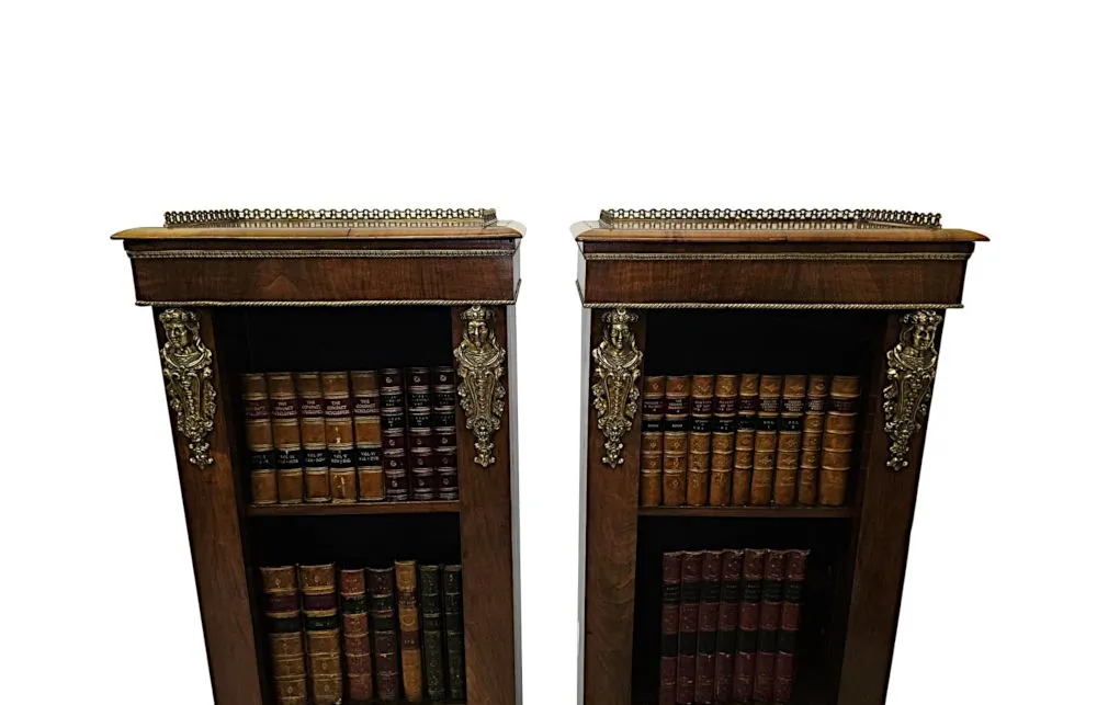 A Very Rare Pair of 19th Century Bookcases with Ormolu Mounts