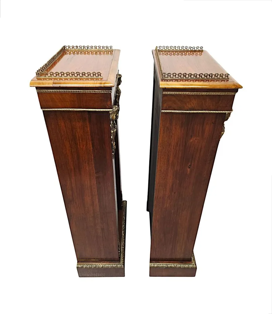 A Very Rare Pair of 19th Century Bookcases with Ormolu Mounts