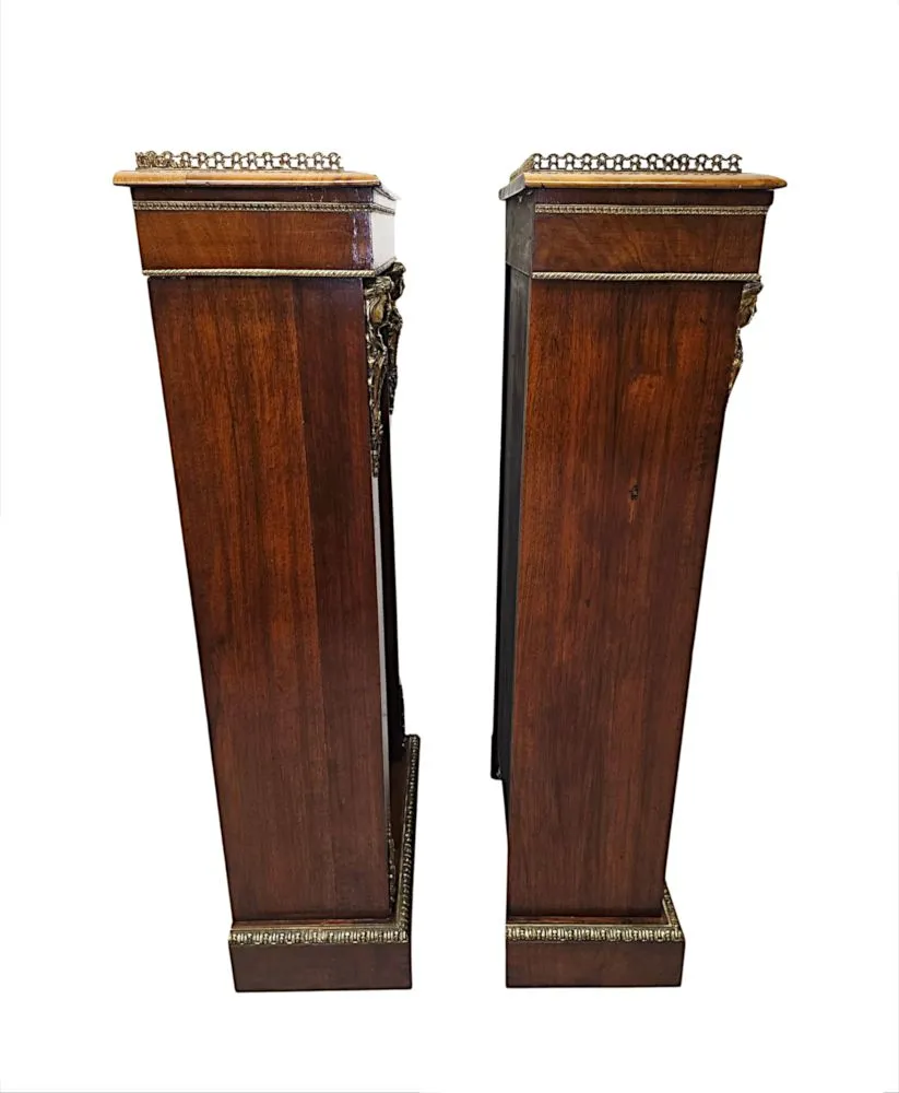 A Very Rare Pair of 19th Century Bookcases with Ormolu Mounts