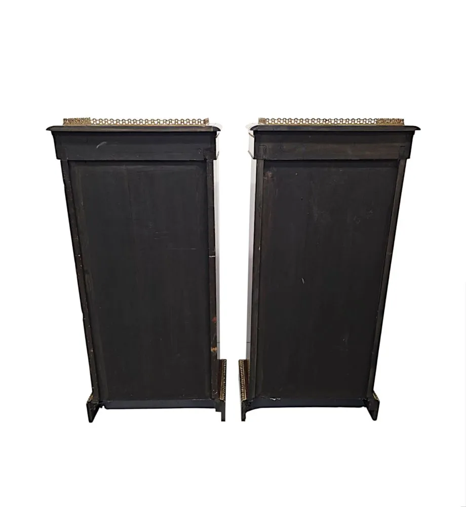 A Very Rare Pair of 19th Century Bookcases with Ormolu Mounts