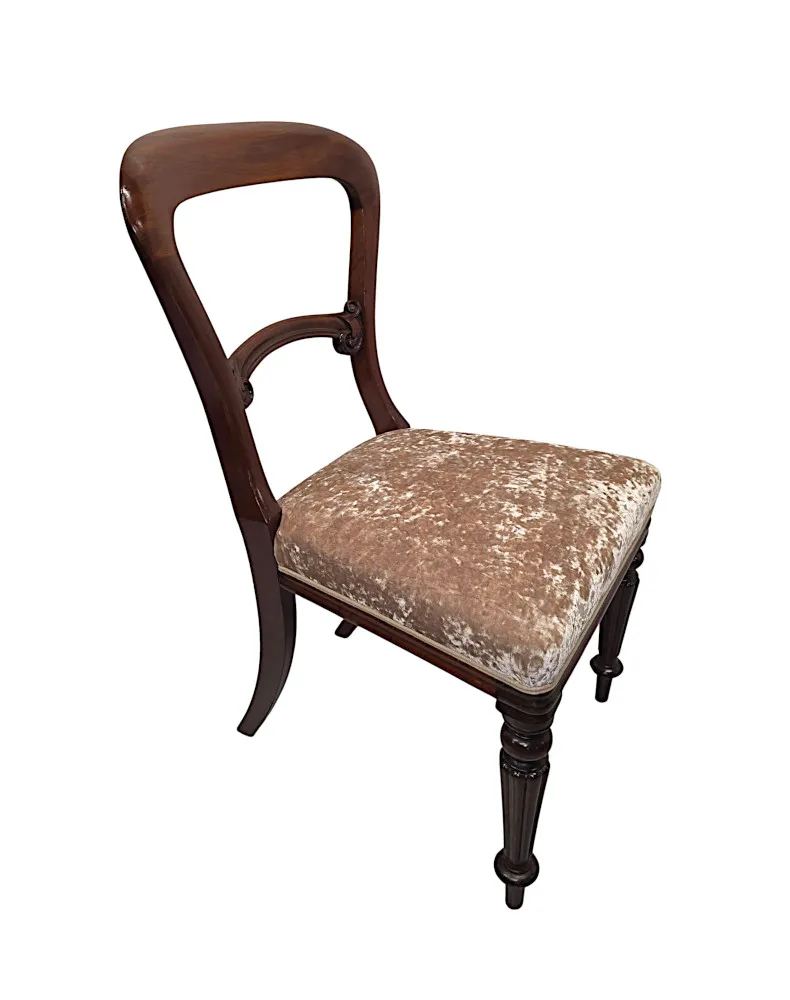 A Very Rare Fully Restored 19th Century Set of Twelve Dining Chairs Attributed to Gillows