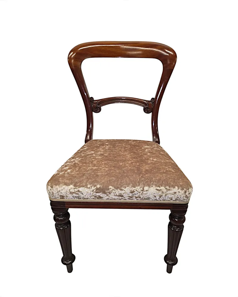 A Very Rare Fully Restored 19th Century Set of Twelve Dining Chairs Attributed to Gillows