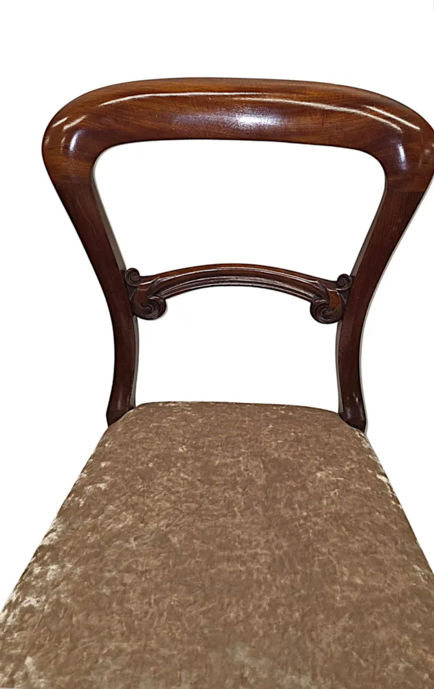 A Very Rare Fully Restored 19th Century Set of Twelve Dining Chairs Attributed to Gillows